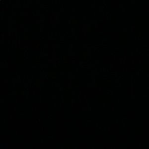 Bundle your favorites for a discount